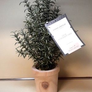 NWT Studio Mcgee Faux Rosemary Tree
